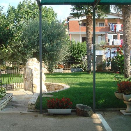 Apartments And Rooms Branka Novigrad  Exterior photo